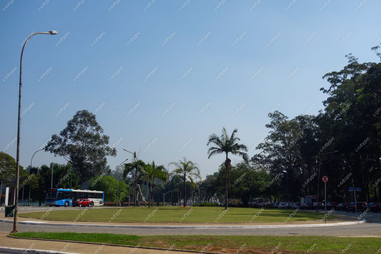 São Paulo, São Paulo, rotatória ensolarada com gramado verde e palmeiras, veículos em movimento e vegetação urbana ao fundo