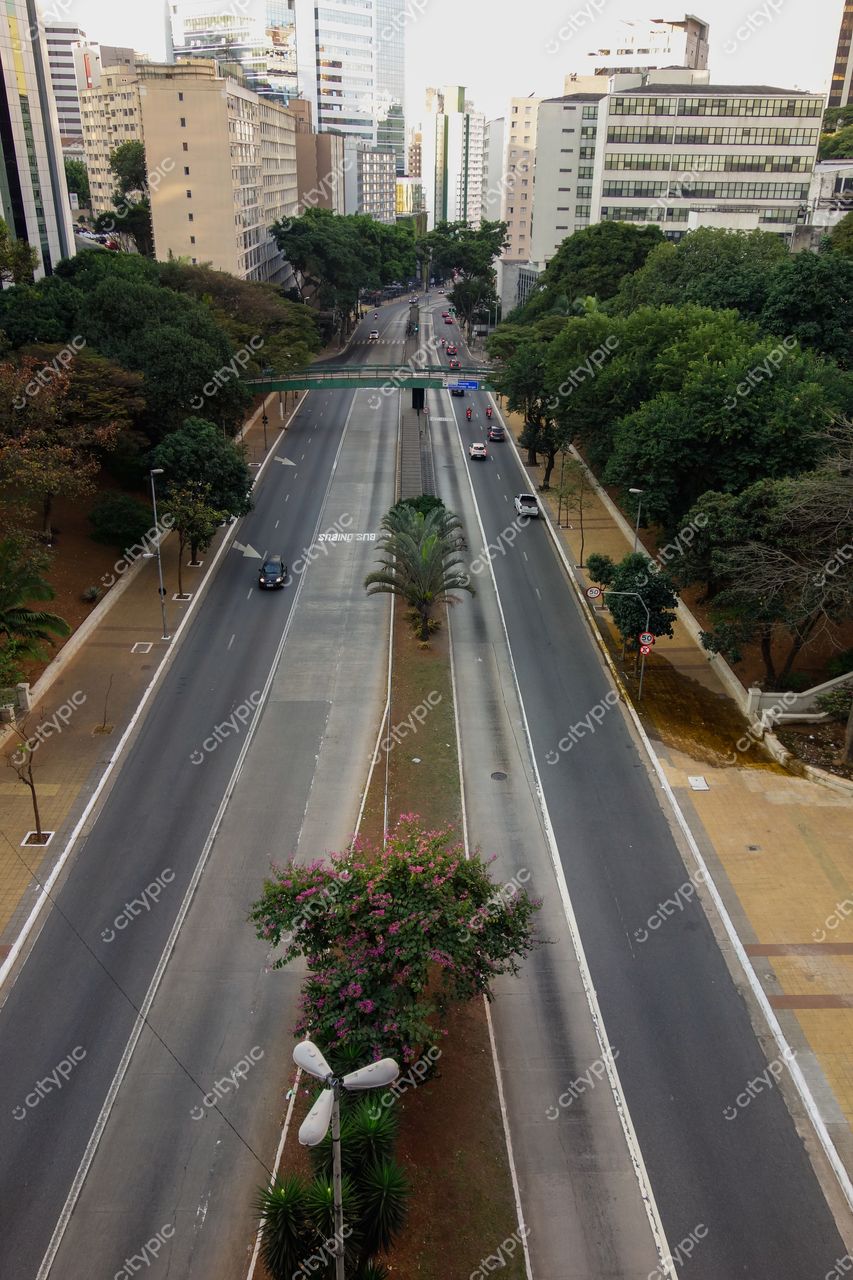 São Paulo, São Paulo, vista de rua com asfalto claro e palmeira central em dia ensolarado com tráfego leve