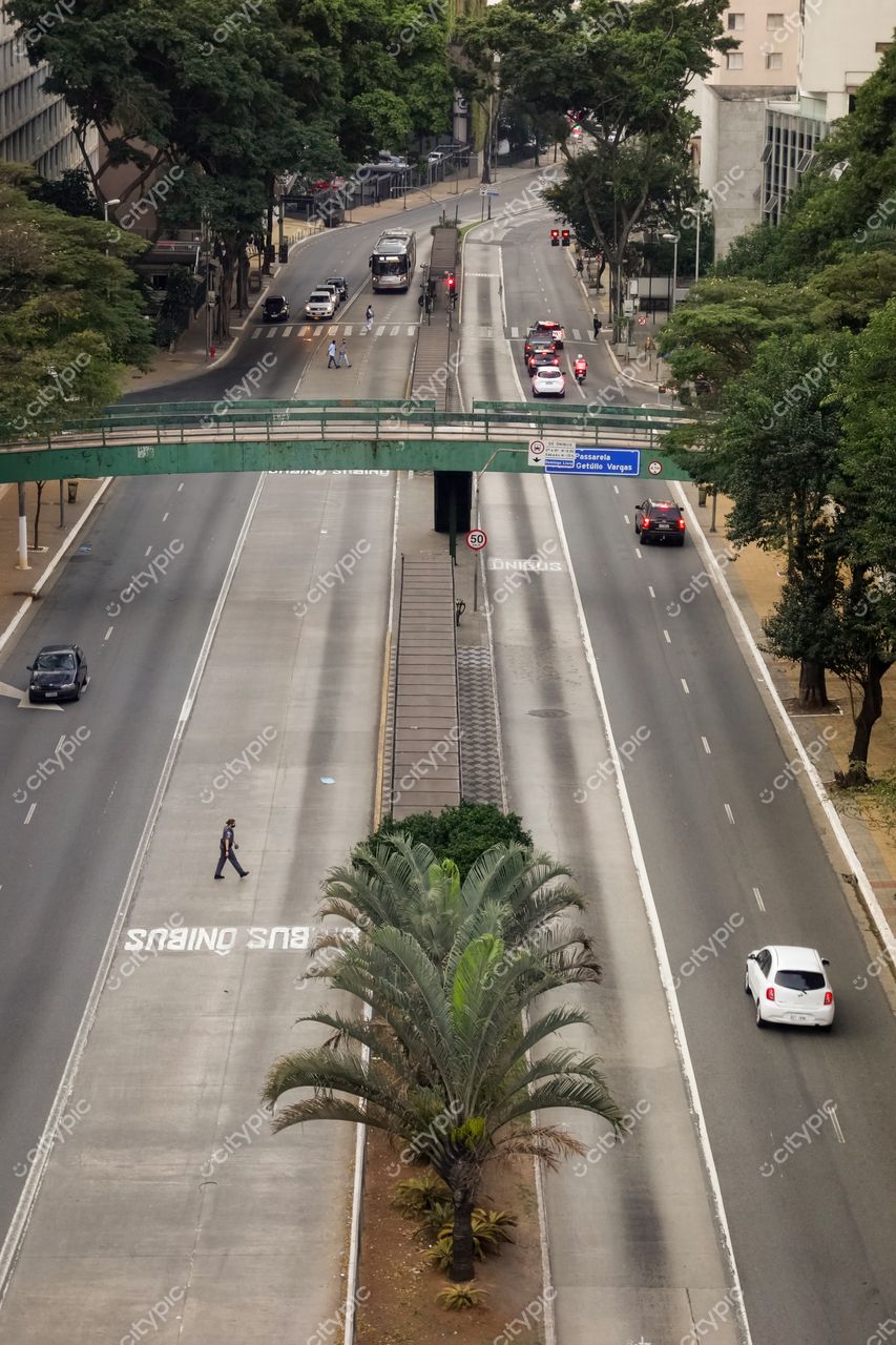 São Paulo, São Paulo, vista de rua com viaduto verde e palmeiras em dia nublado e tráfego leve