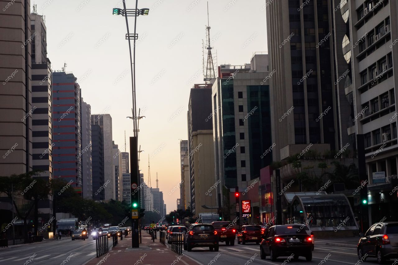 São Paulo, São Paulo, vista urbana ao entardecer com arranha-céus, tráfego intenso e vegetação ao lado da avenida