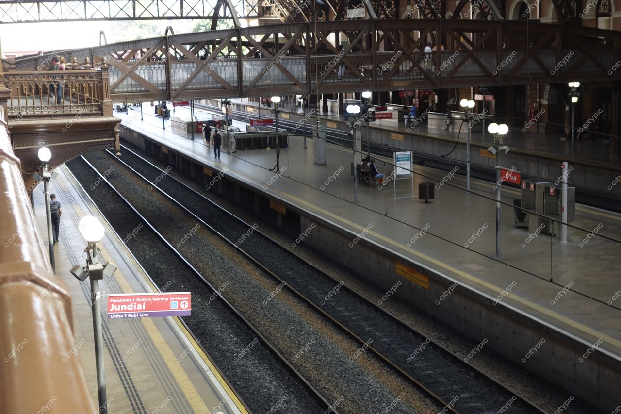 Estação da Luz em São Paulo com plataformas de embarque, estrutura de ferro exposta e iluminação natural suave