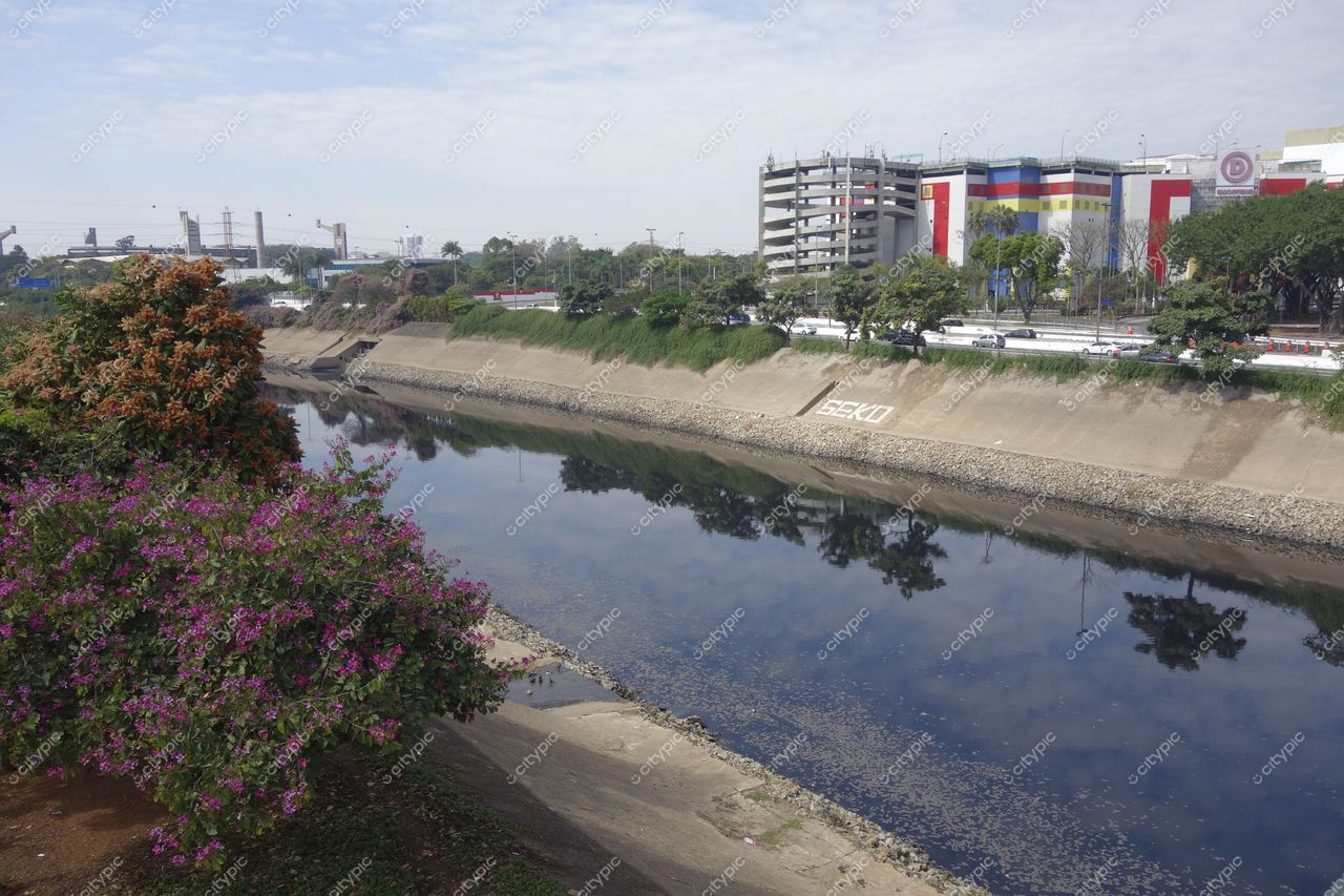 São Paulo, São Paulo, vista do rio calmo refletindo o céu com bougainvilles e edifícios coloridos ao fundo