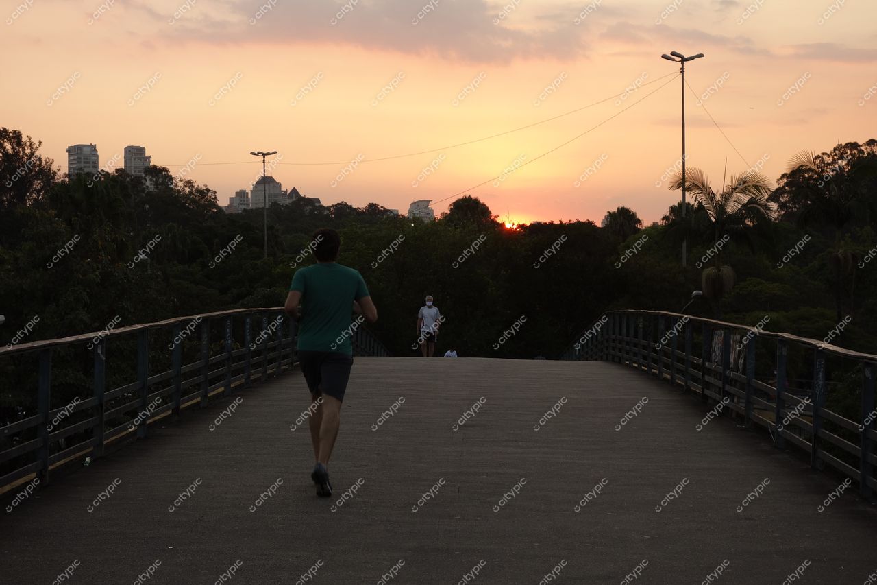 São Paulo, São Paulo, corredor ao entardecer na ponte com vegetação densa e edifícios ao fundo