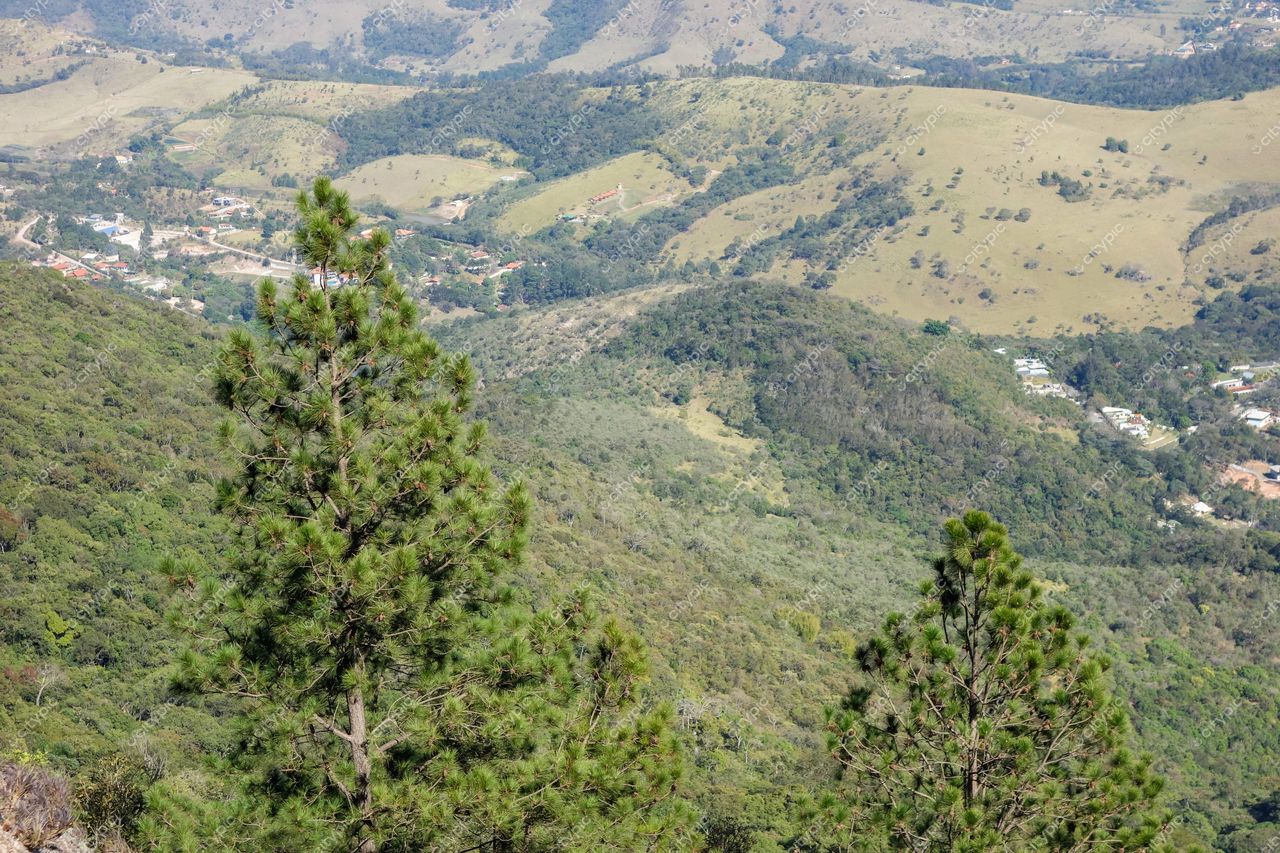 Atibaia, São Paulo vista panorâmica com árvores altas em primeiro plano e montanhas ao fundo em dia ensolarado