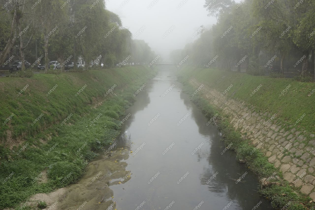 Petrópolis, Rio de Janeiro canal em manhã nebulosa com vegetação densa e veículos estacionados ao longo da rua
