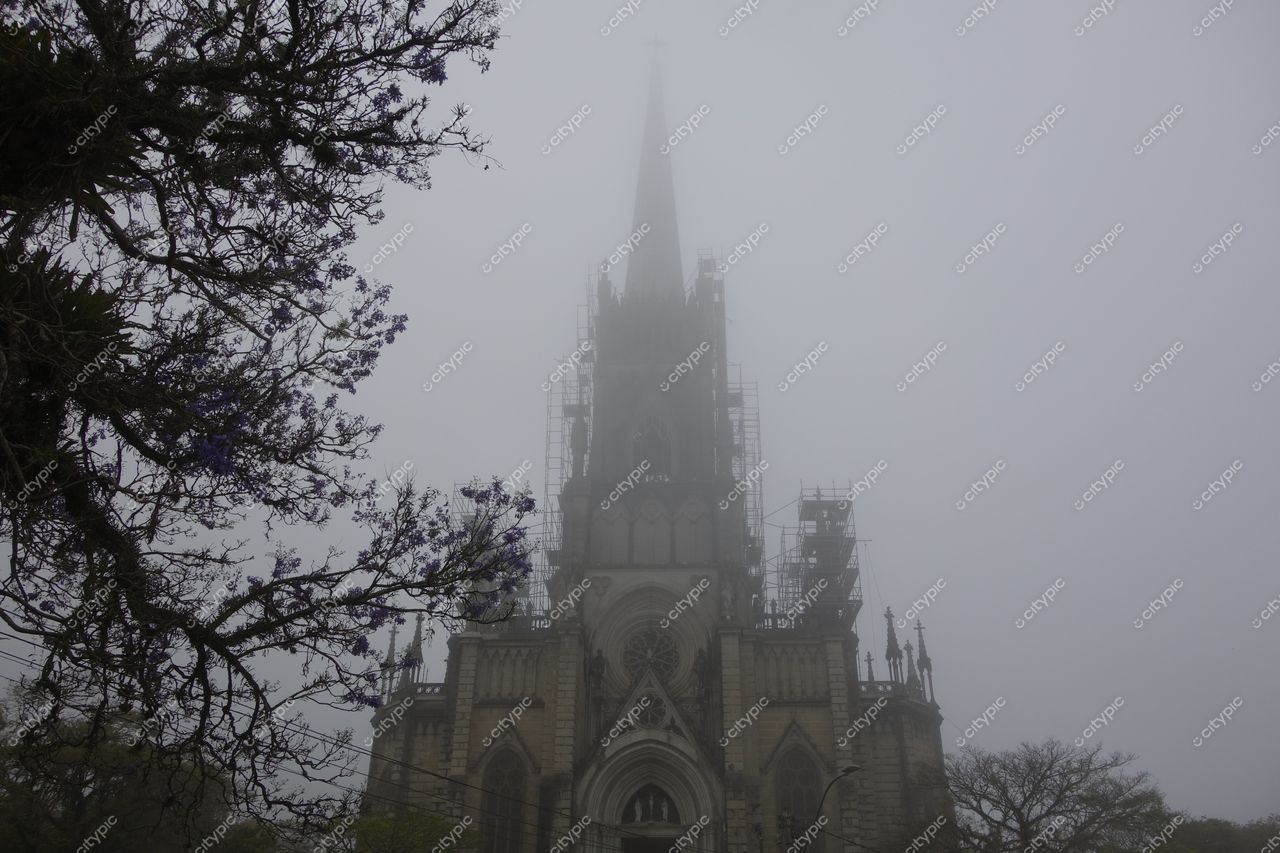 Petrópolis, Rio de Janeiro, igreja gótica em neblina com andaimes e árvores floridas contrastando com o ambiente cinzento
