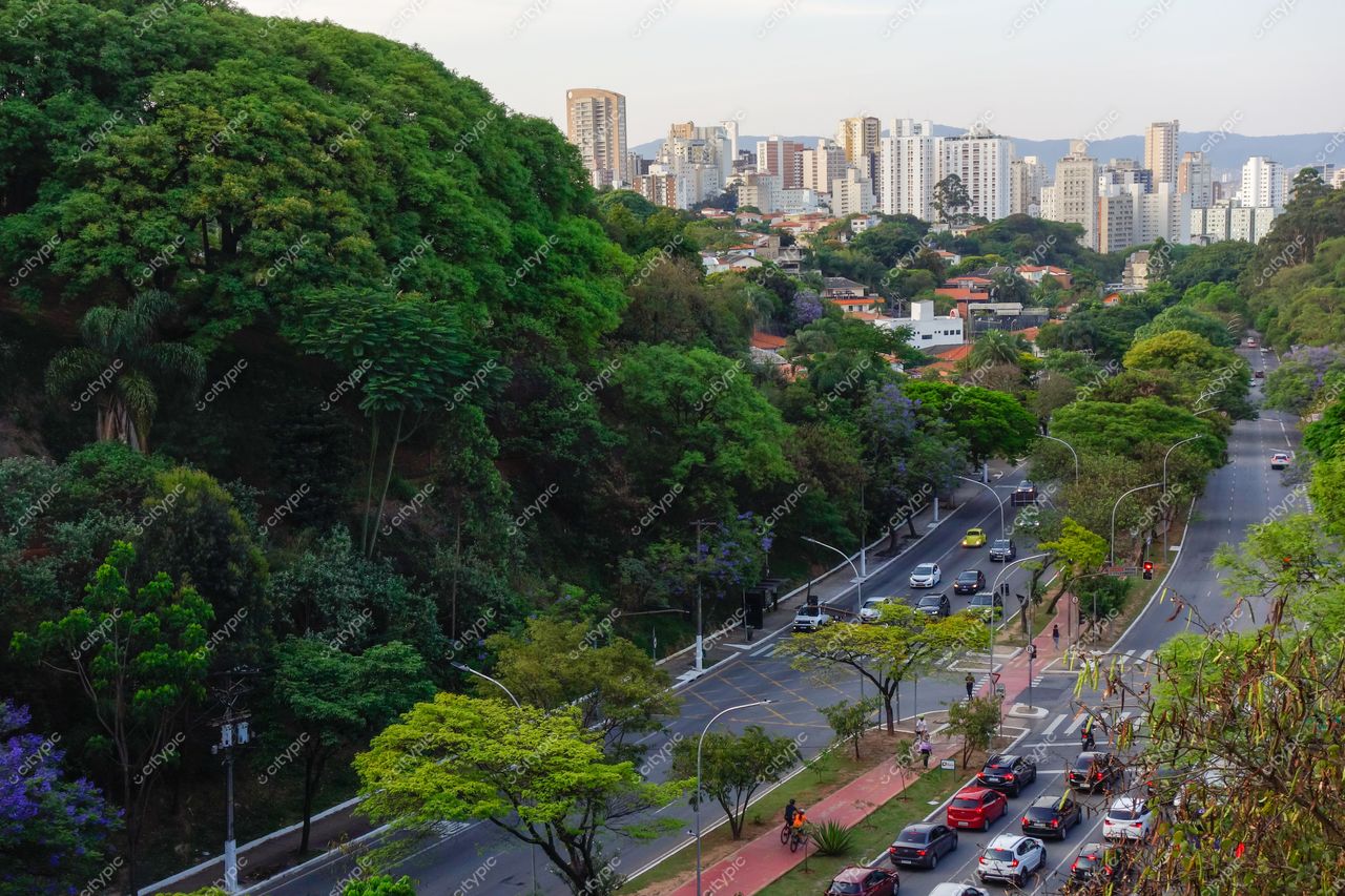 São Paulo, São Paulo, vista panorâmica ao entardecer com ruas arborizadas e edifícios altos ao fundo