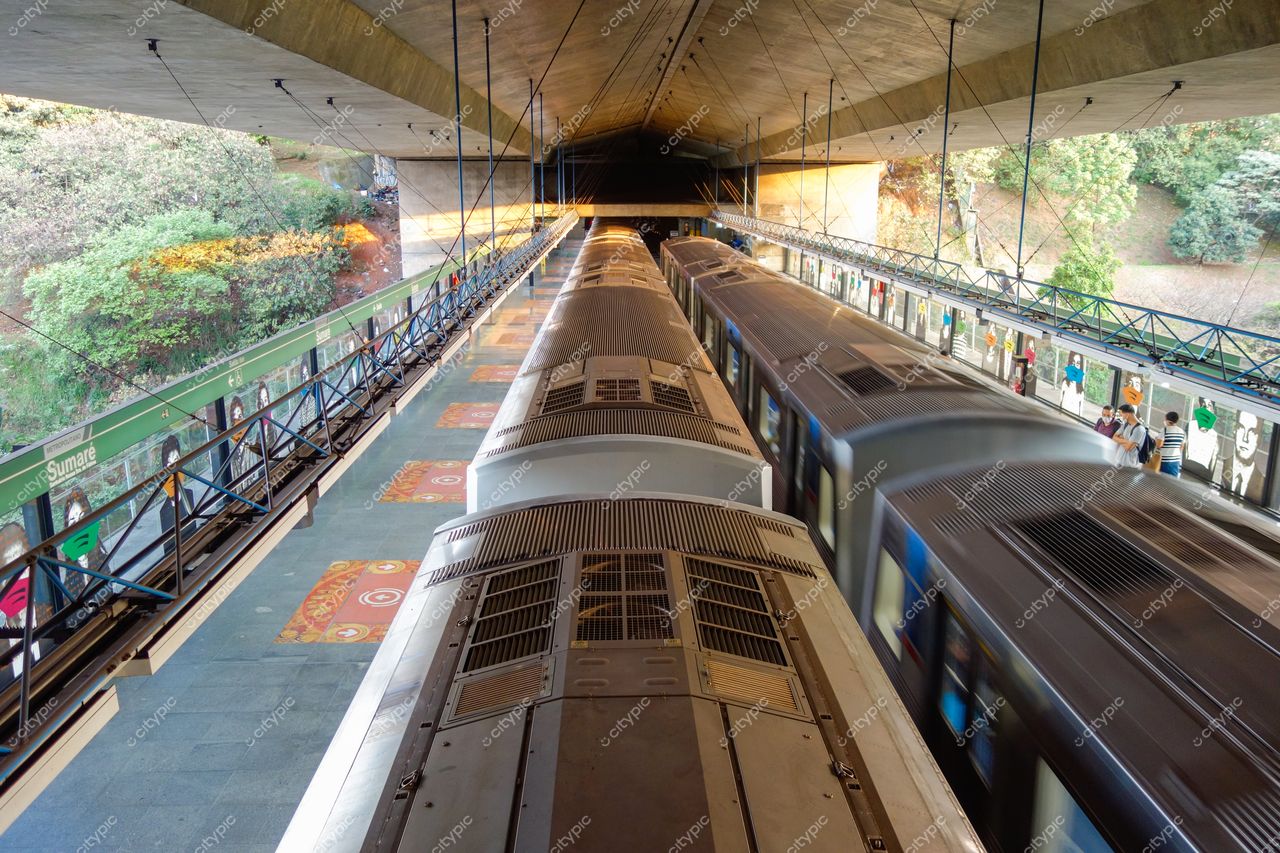 São Paulo, São Paulo, estação de metrô moderna com trens prateados em movimento e vegetação ao fundo