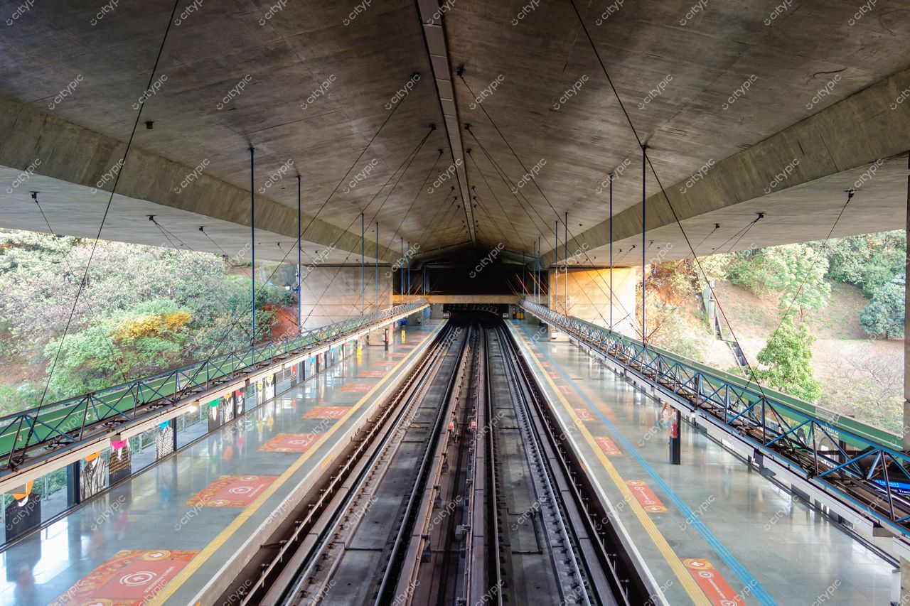 São Paulo, São Paulo, estação de metrô elevada com iluminação suave e vegetação densa ao fundo em área arborizada