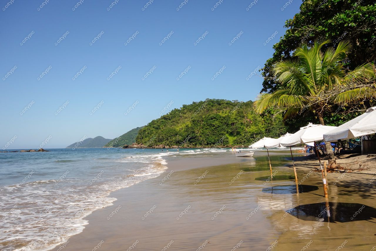 Ilhabela, São Paulo praia tranquila com água calma e areia úmida sob céu azul e toldos brancos na areia