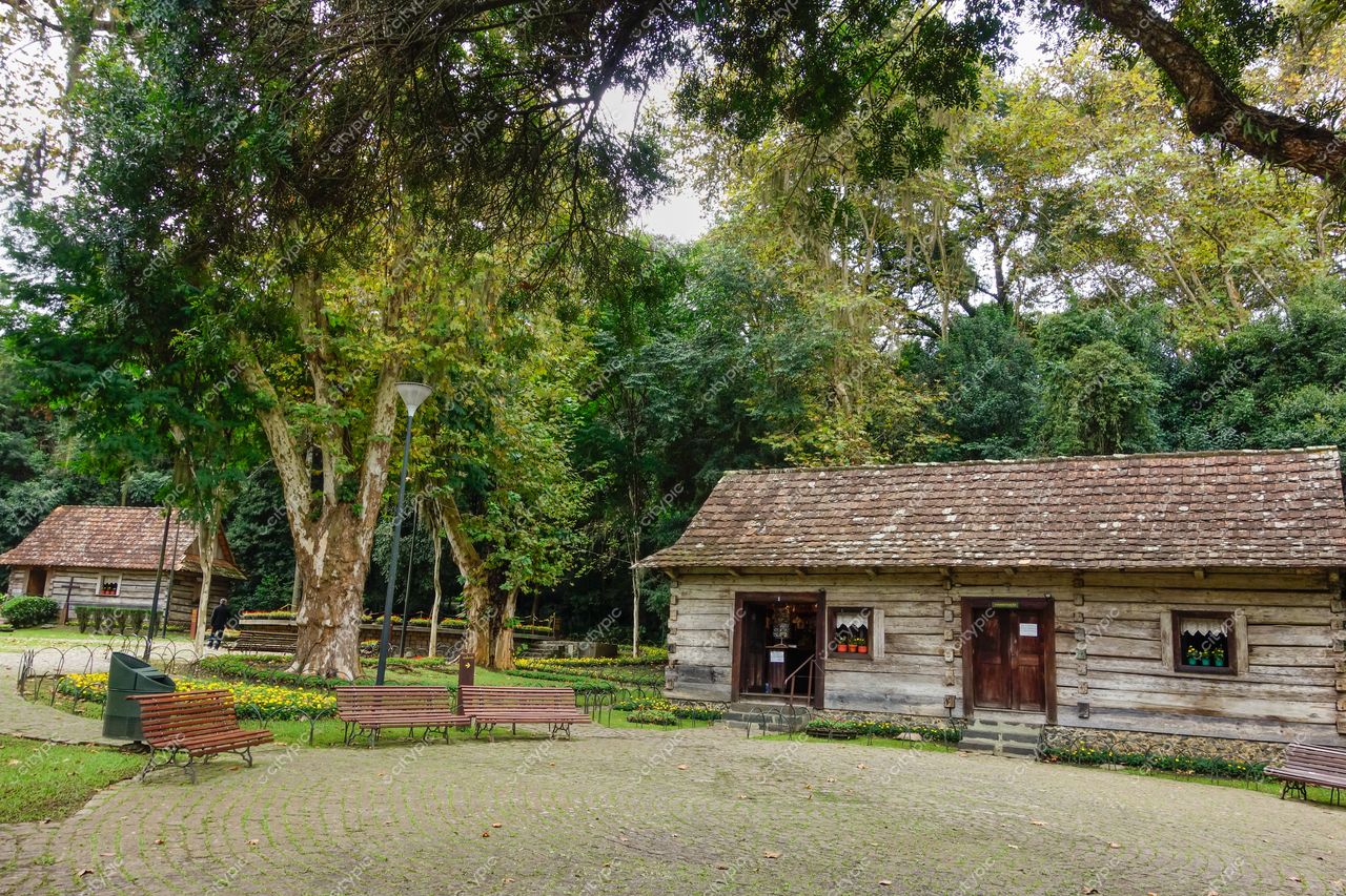 Bosque do Papa João Paulo II em Curitiba com casas de madeira, vegetação densa e iluminação suave em dia nublado
