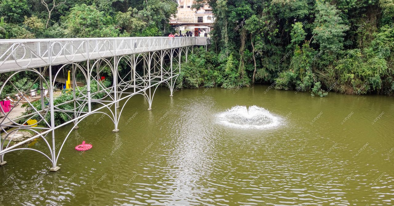 Ópera de Arame em Curitiba com estrutura metálica sobre lago esverdeado e vegetação exuberante em dia nublado