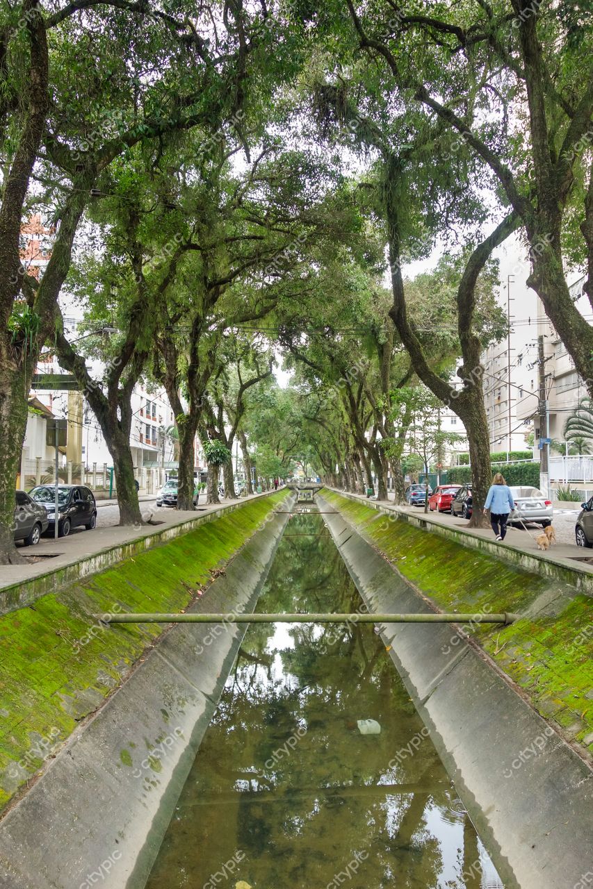 Santos, São Paulo, calçada arborizada ao lado de canal refletindo céu nublado e vegetação exuberante com carros estacionados