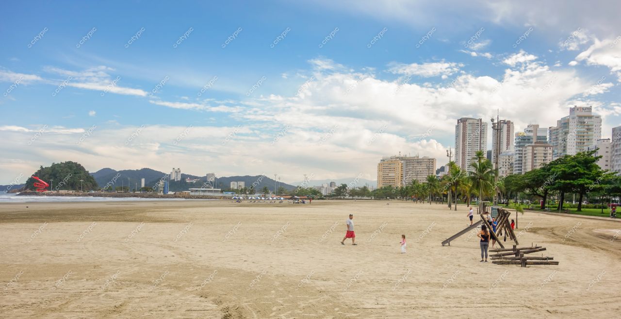 Santos, São Paulo, praia com areia clara e céu nublado, palmeiras na orla e edifícios altos ao fundo