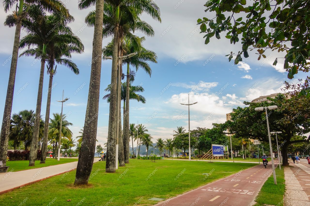 Santos, São Paulo, área verde com palmeiras altas e calçadão para ciclistas em dia ensolarado com nuvens