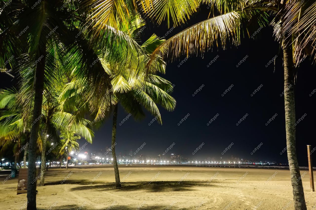 Santos, São Paulo, praia à noite com palmeiras iluminadas e céu escuro, destacando a tranquilidade urbana