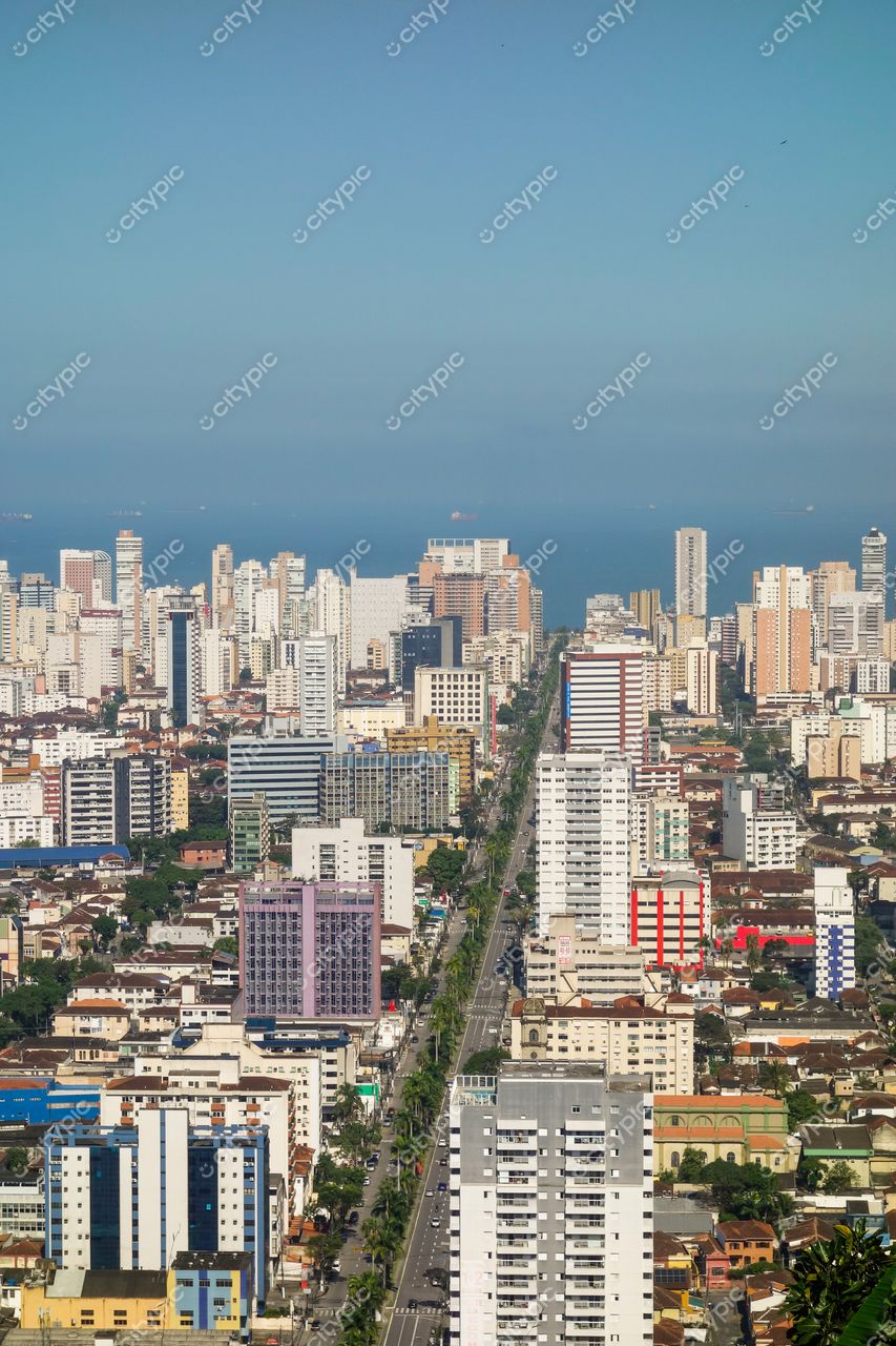 Santos, São Paulo, vista panorâmica da avenida central com edifícios claros, céu azul e vegetação nas calçadas