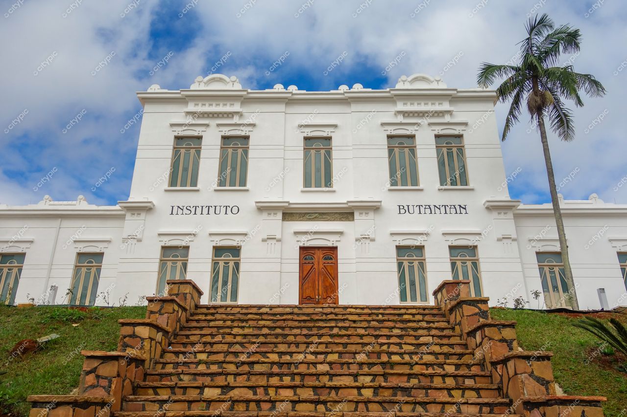 São Paulo, São Paulo, fachada neoclássica do Instituto Butantan com escadaria de pedras e céu azul nublado