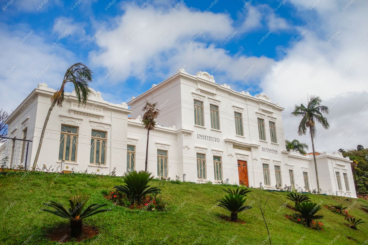 São Paulo, São Paulo, Instituto Butantan com arquitetura neoclássica em dia ensolarado e vegetação bem cuidada