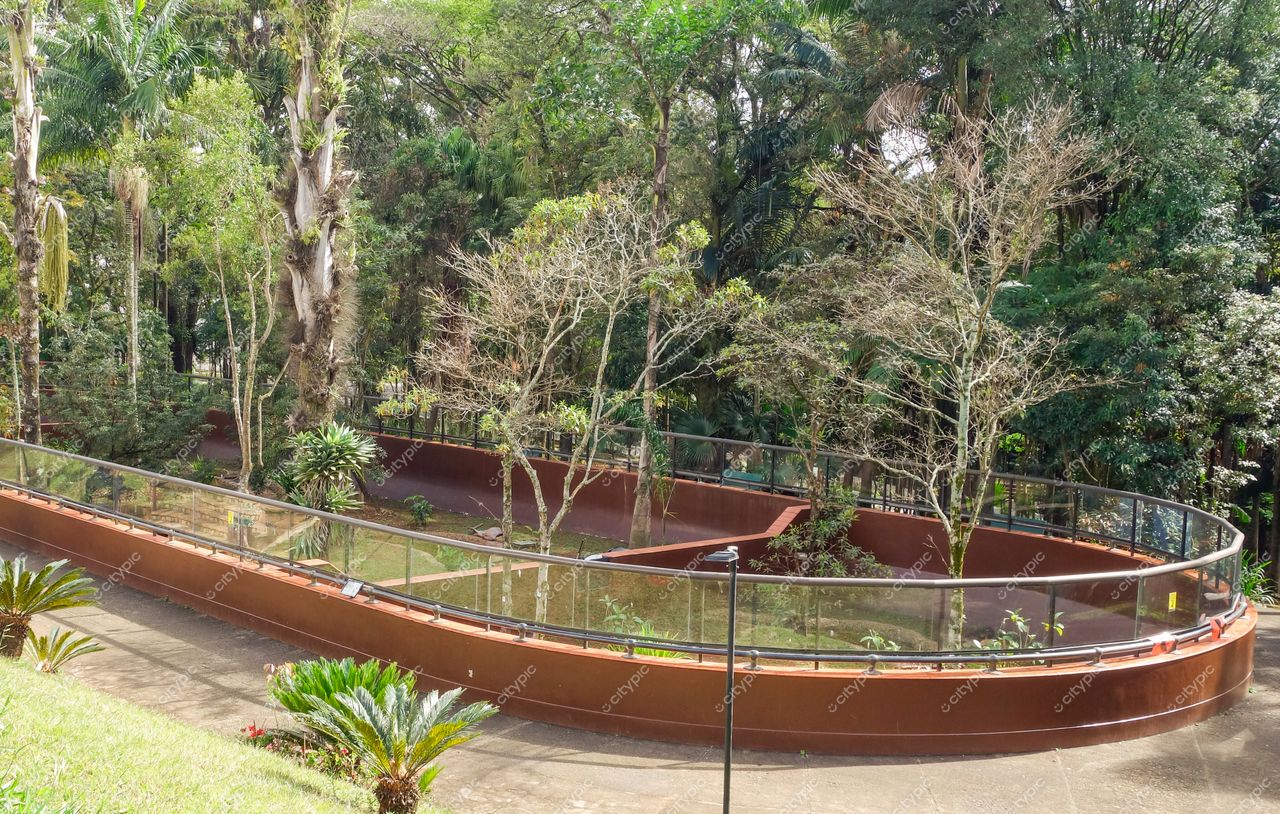 São Paulo, São Paulo, estrutura circular elevada cercada por vegetação densa e iluminação suave em ambiente tranquilo