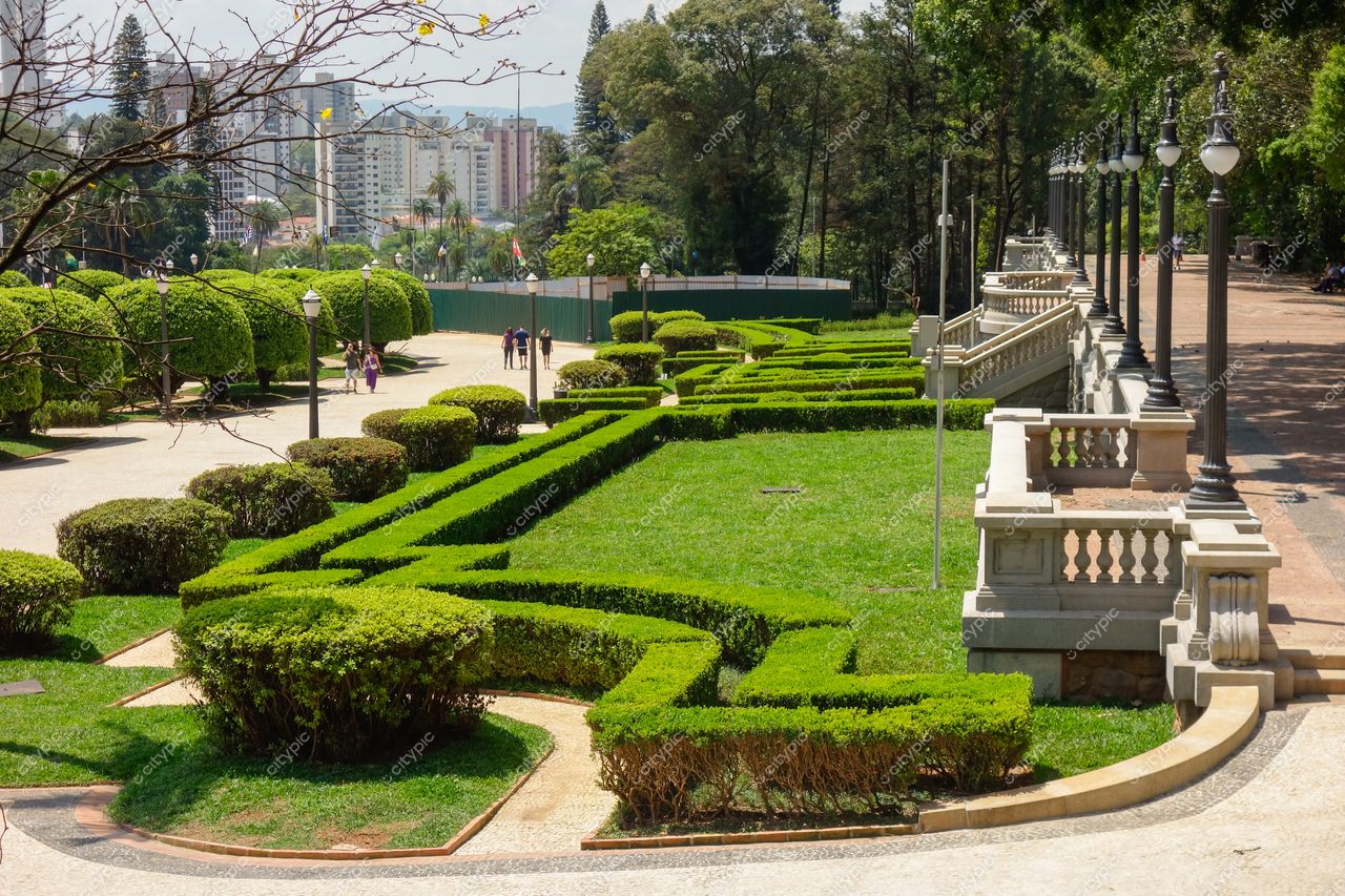 São Paulo, São Paulo, parque urbano com grama bem cuidada e sebes sob luz do dia e árvores altas