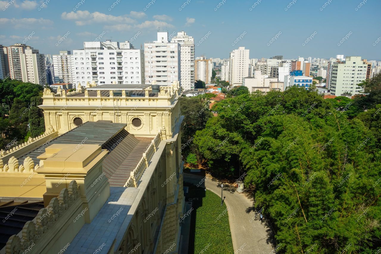 São Paulo, São Paulo com telhado histórico em primeiro plano e modernos edifícios sob céu nublado e vegetação abundante