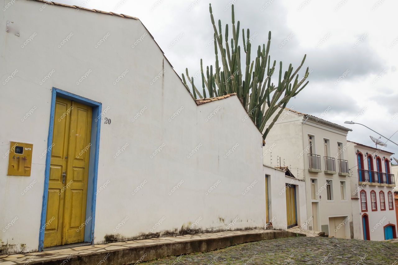 Centro Histórico de São João del Rei em dia nublado com casa branca e porta amarela ao fundo e cacto destacado