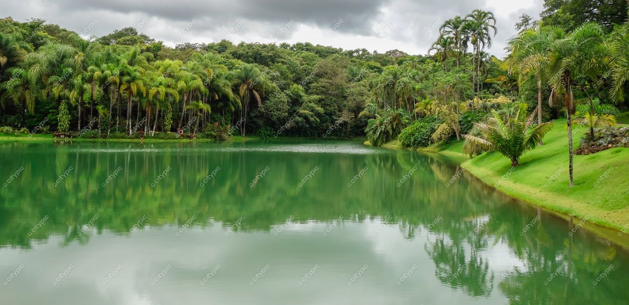 Brumadinho, Minas Gerais lago de águas verdes refletindo vegetação densa sob céu nublado em ambiente tranquilo