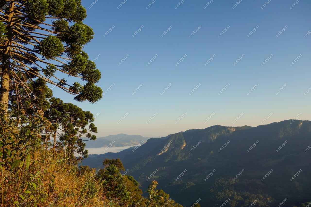 São Bento do Sapucaí, São Paulo vista panorâmica ao amanhecer com pinheiros e montanhas sob céu azul claro