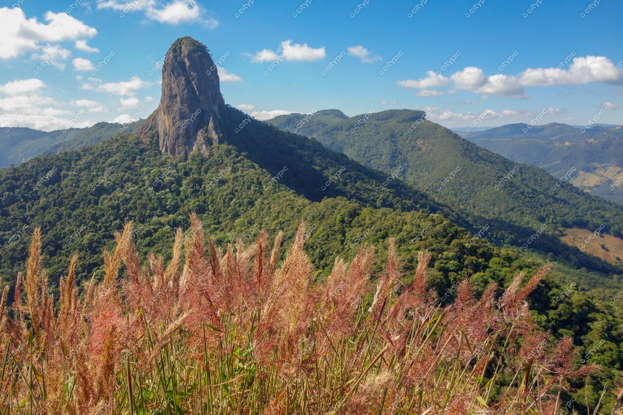 São Bento do Sapucaí, São Paulo, vista da Pedra do Baú com campo avermelhado e céu azul nublado