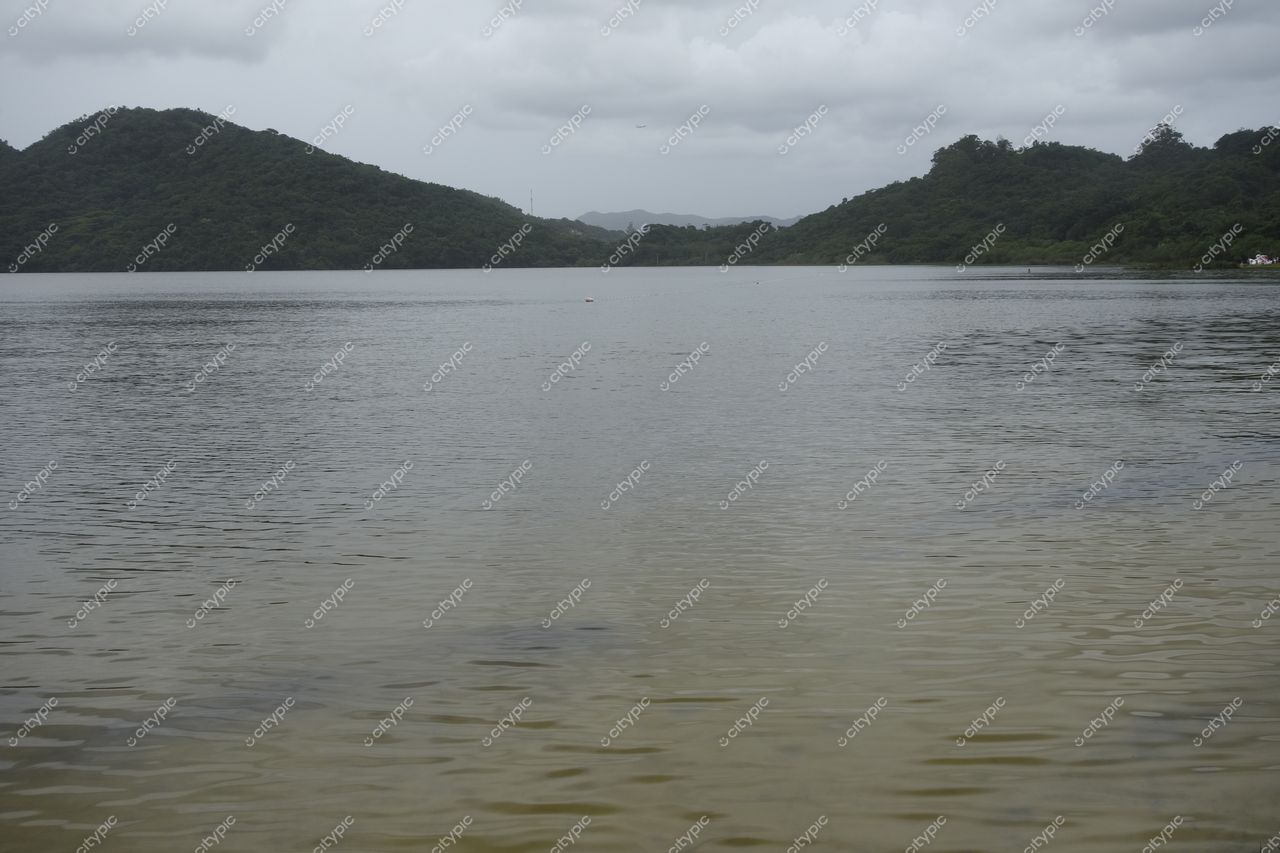 Florianópolis, Santa Catarina, lago calmo com colinas verdes ao fundo em dia nublado e vegetação abundante