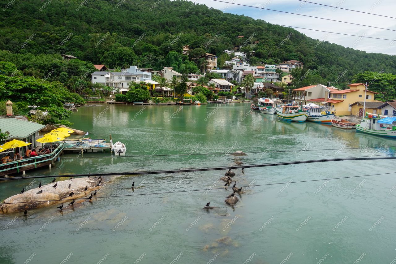 Florianópolis, Santa Catarina vista panorâmica de área costeira com casas coloridas e barcos pesqueiros em dia ensolarado