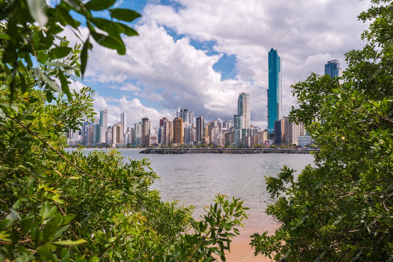 Balneário Camboriú, Santa Catarina, vista urbana com arranha-céus refletindo luz do sol e vegetação densa em primeiro plano