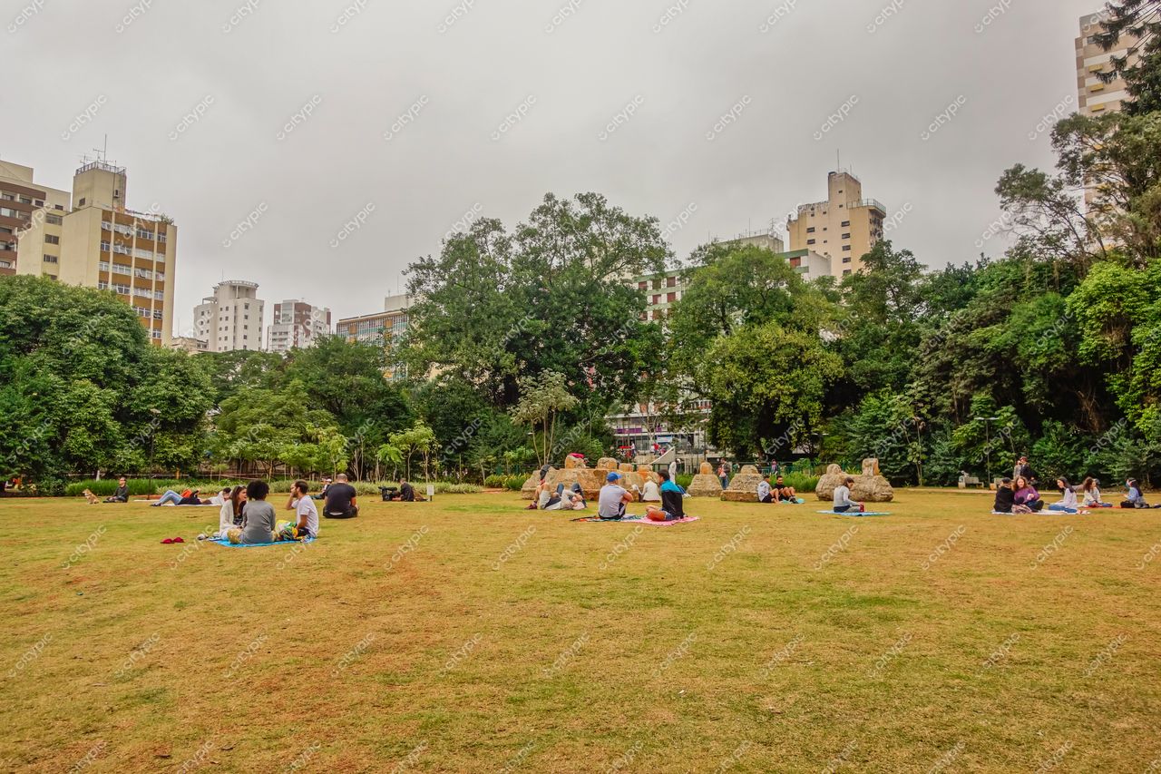 Parque Tenente Siqueira Campos (Trianon) em São Paulo com pessoas na grama em manhã nublada e prédios ao fundo