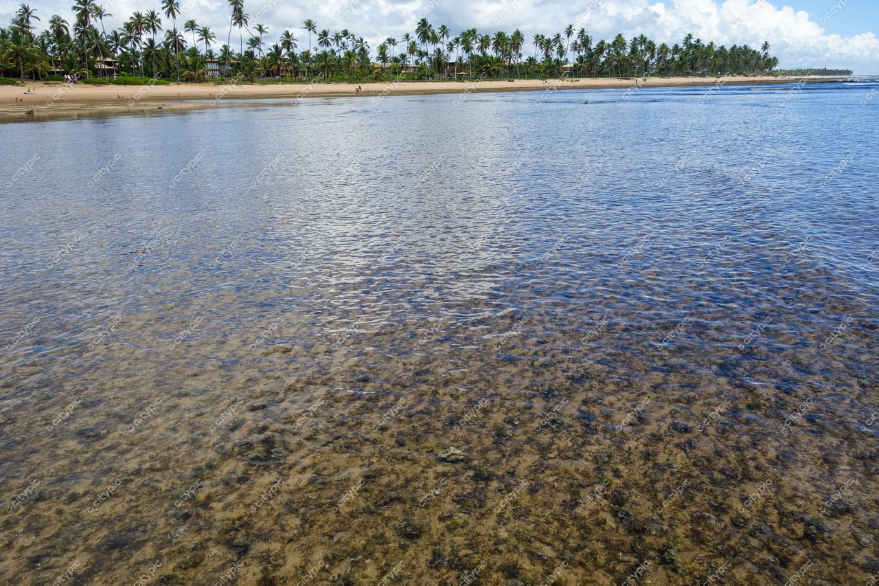 Mata de São João, Bahia, praia com águas rasas e cristalinas sob céu parcialmente nublado e palmeiras ao fundo