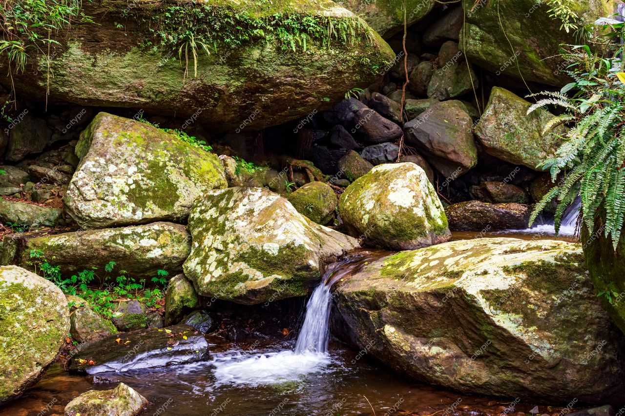 Ilhabela, São Paulo, riacho fluindo entre rochas cobertas de musgo em ambiente natural com vegetação densa e iluminação suave
