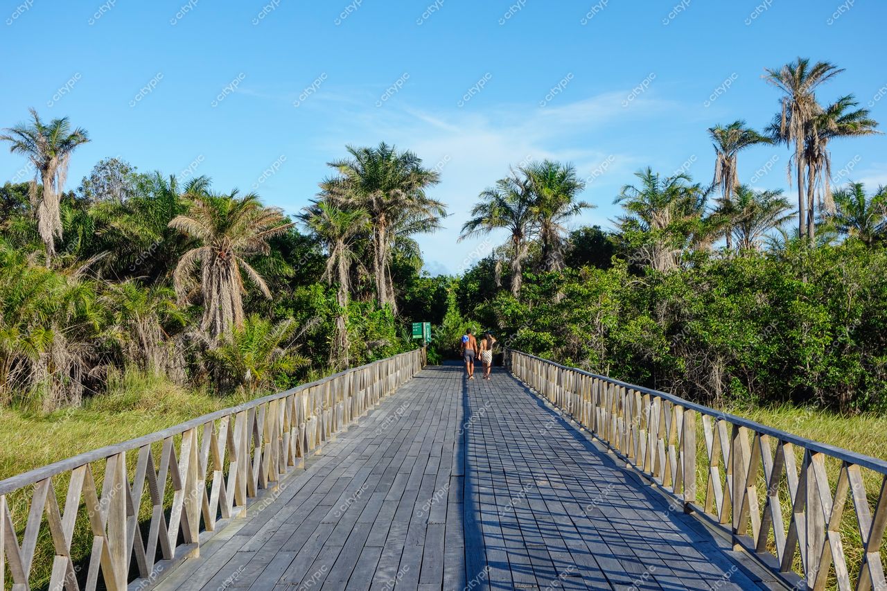 Mata de São João, Bahia, passarela de madeira em dia ensolarado com pessoas e vegetação tropical densa ao redor