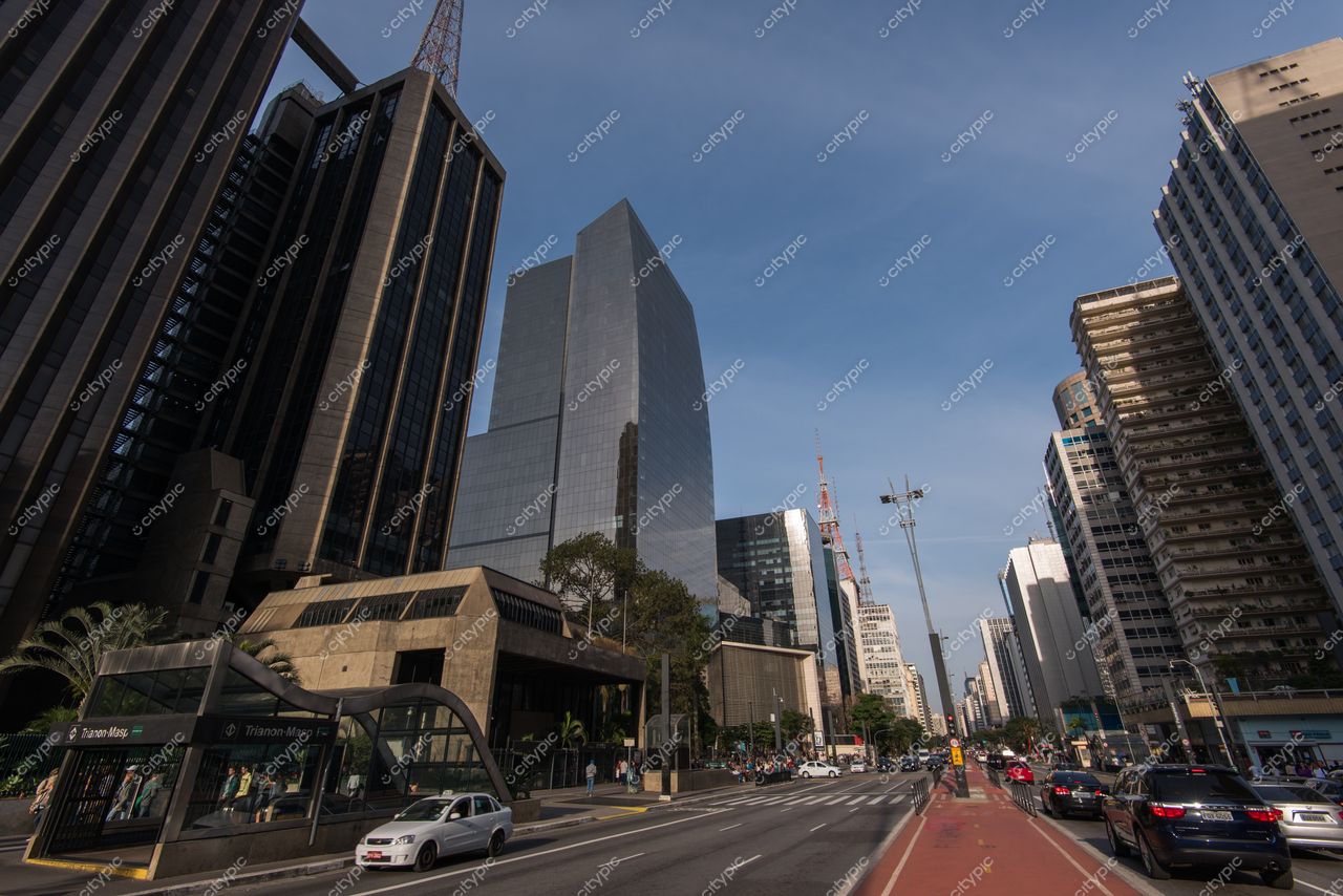 São Paulo, São Paulo, tarde ensolarada com prédios altos, calçadas largas e tráfego moderado em rua arborizada