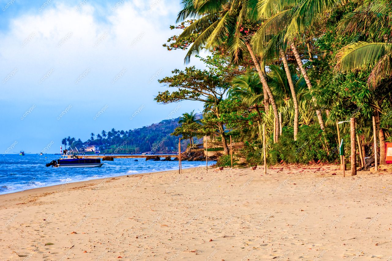 Ilhabela, São Paulo, praia com areias claras e finas, palmeiras densas e barcos ancorados ao fundo