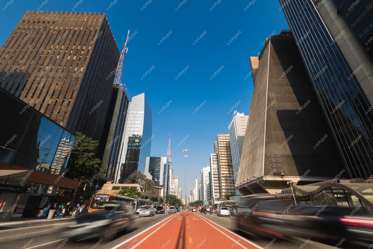 São Paulo, São Paulo, vista da Avenida Paulista com céu azul e tráfego intenso entre edifícios modernos e ciclovia