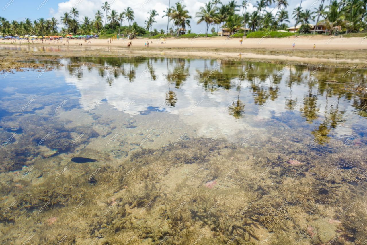 Mata de São João, Bahia vista da costa com banco de areia, vegetação tropical e pessoas na praia ao fundo