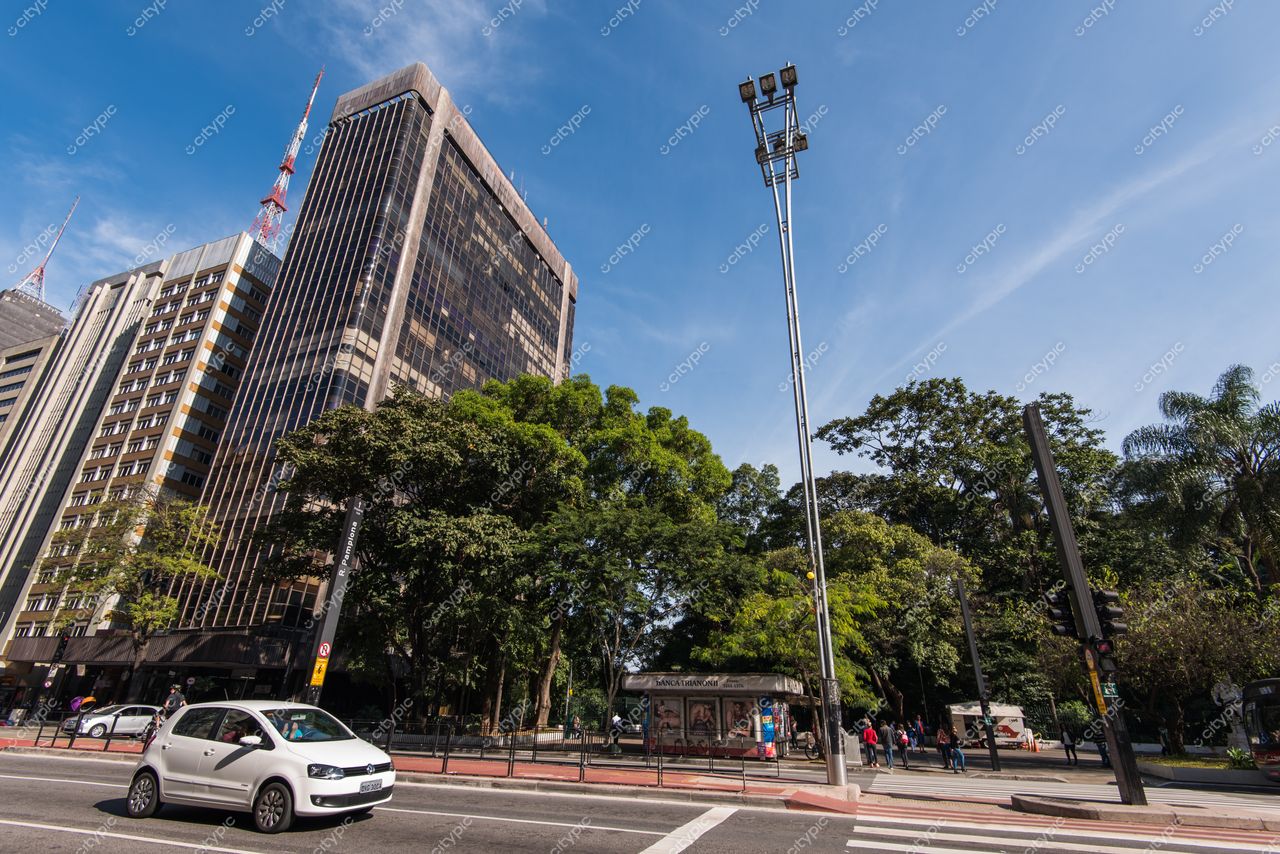 São Paulo, São Paulo, edifício alto à direita com vegetação densa ao fundo e carro branco em movimento urbano