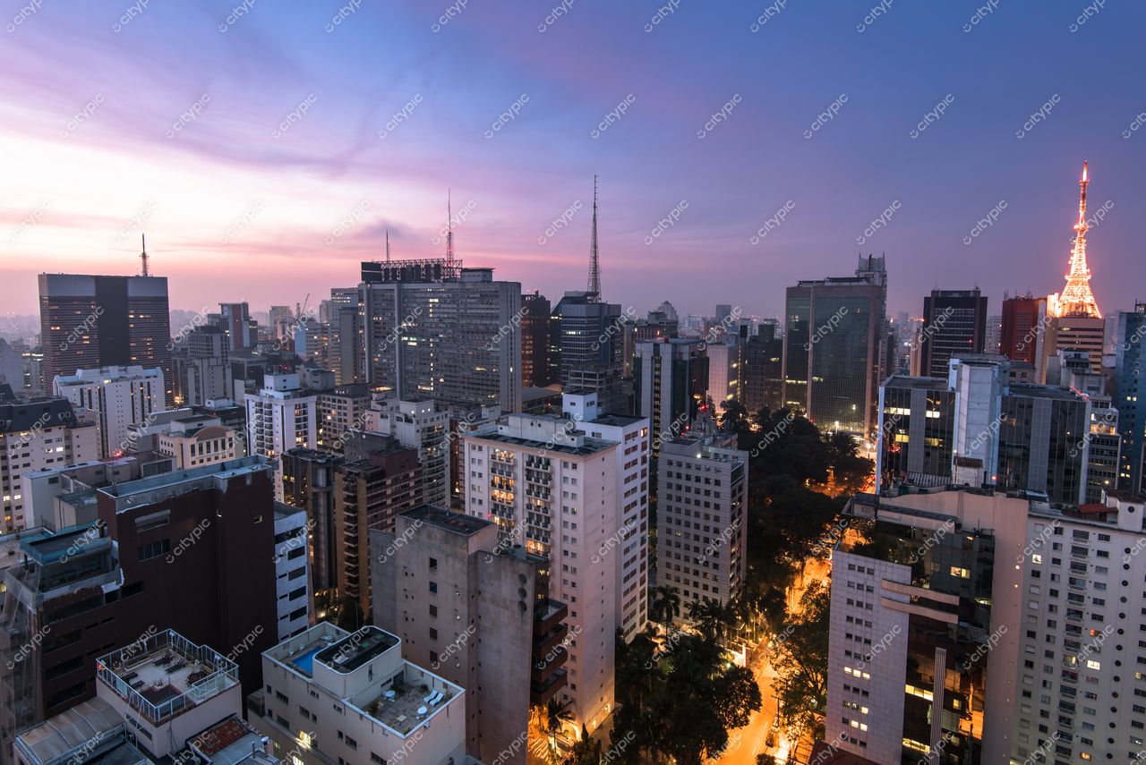 São Paulo, São Paulo, vista panorâmica ao entardecer com céu azul e rosa, edifícios modernos e vegetação urbana