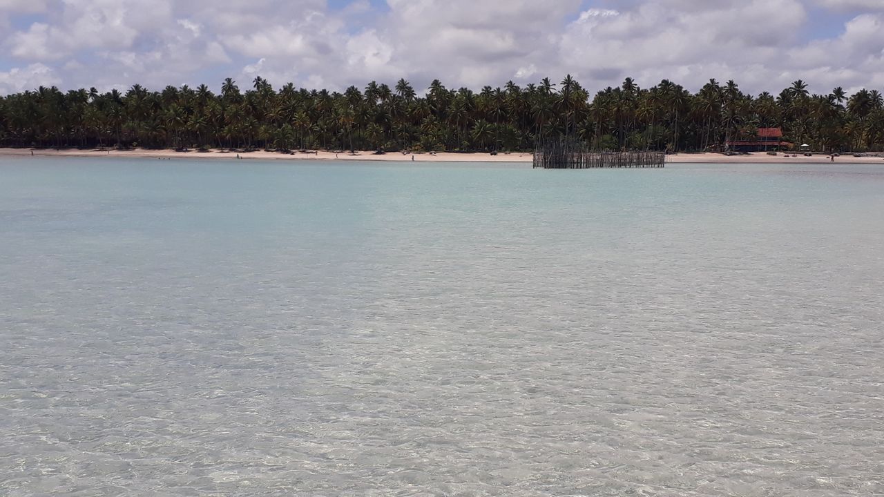 Maragogi, Alagoas com praia tranquila, águas cristalinas, palmeiras ao fundo e estrutura de madeira na água rasa