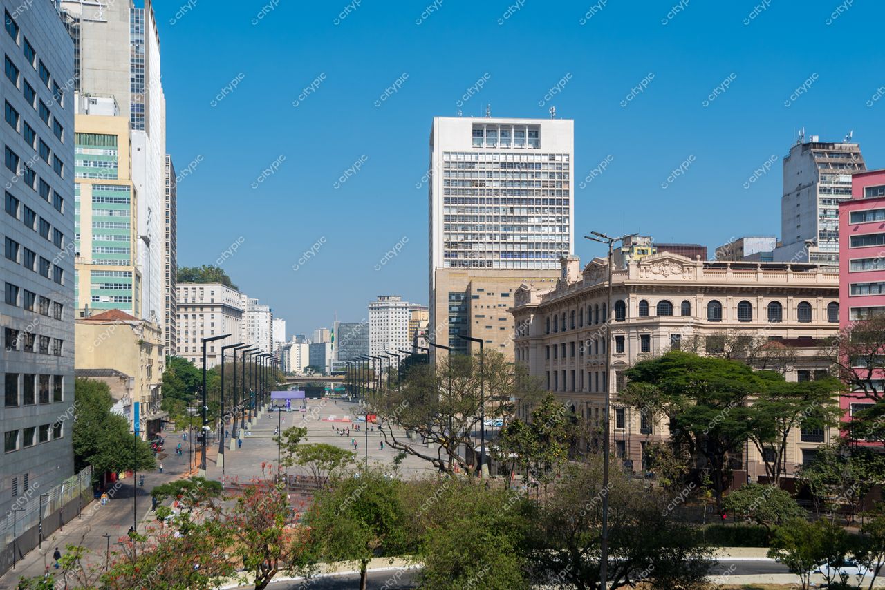 São Paulo, São Paulo, vista urbana em dia ensolarado com vegetação baixa e contrastante arquitetura moderna e histórica