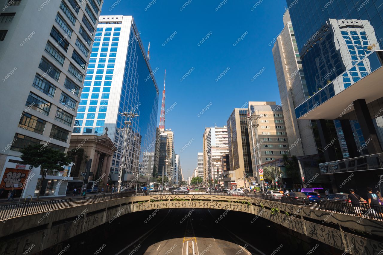 São Paulo, São Paulo, vista da Avenida Paulista em dia claro com arranha-céus modernos e tráfego ativo