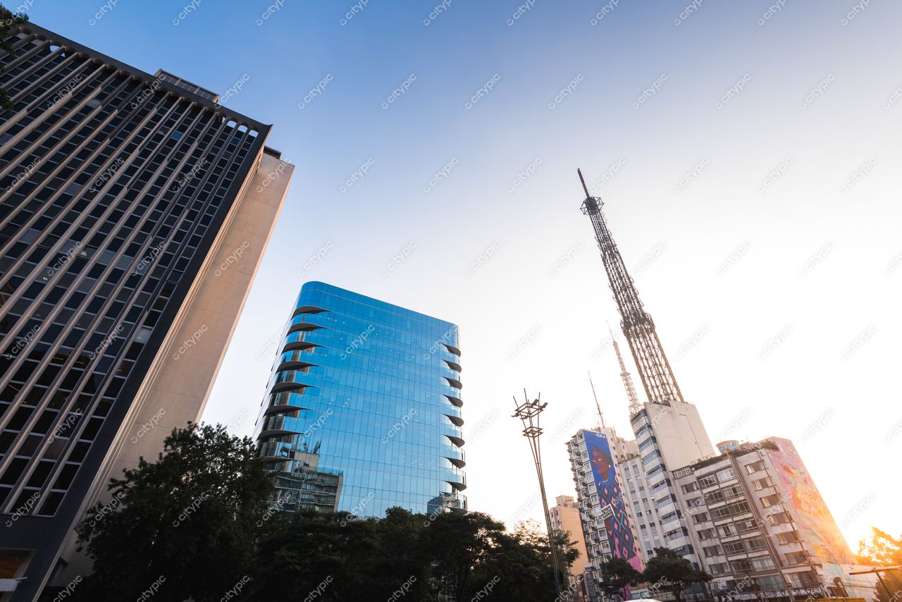 São Paulo, São Paulo, vista urbana ao amanhecer com edifícios modernos e tradicionais sob céu claro e vegetação