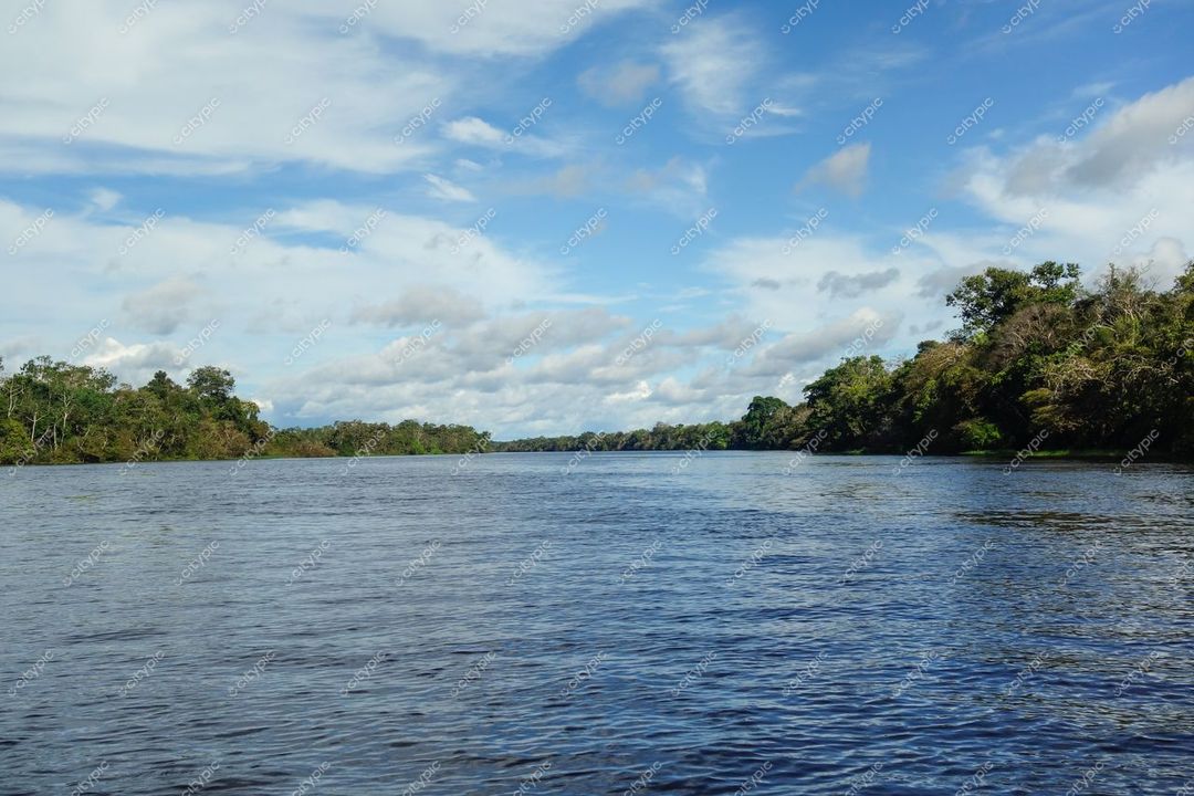 Manaus, Amazonas, vista serena do rio com águas calmas e vegetação densa sob céu parcialmente nublado durante o dia