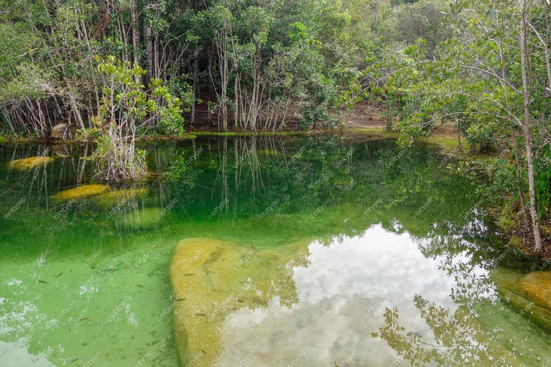 Presidente Figueiredo, Amazonas, lago verde refletindo o céu em dia ensolarado com vegetação abundante e rochas