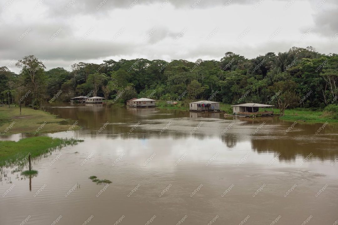 Manaus, Amazonas, vista de casas flutuantes em palafitas cercadas por vegetação tropical sob céu nublado durante o dia